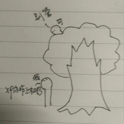 八哥和布谷鸟