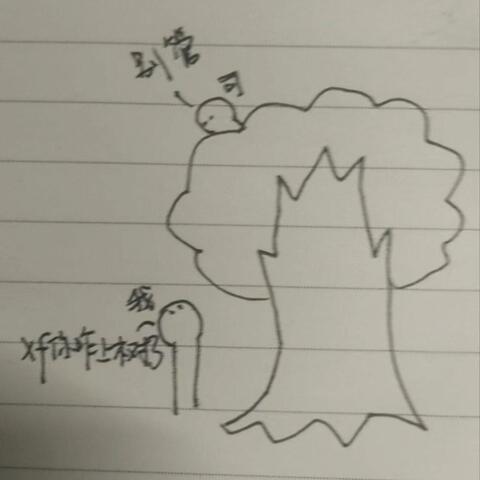 八哥和布谷鸟