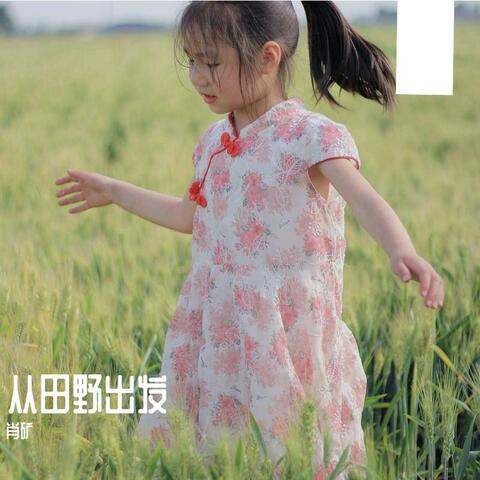 从田野出发