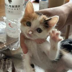 你看我时的眼睛像雨又带雾