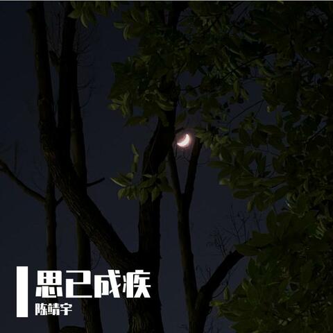 思已成疾