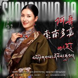 阿哥索南多嘉