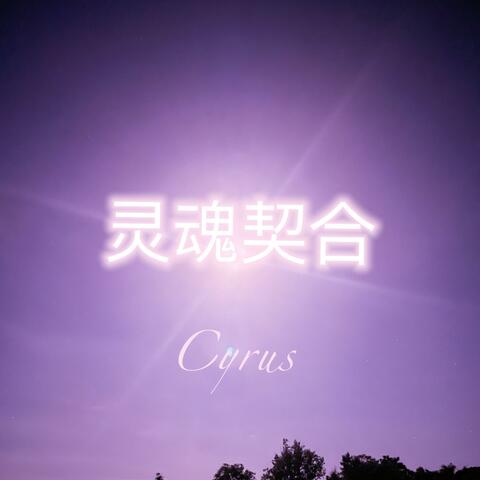 灵魂契合