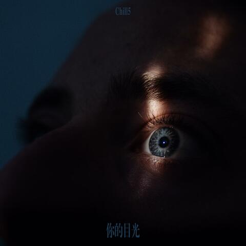 你的目光