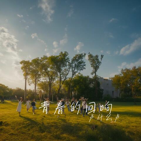 青春的回响