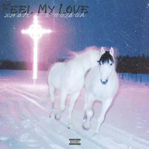 Feel My Love
