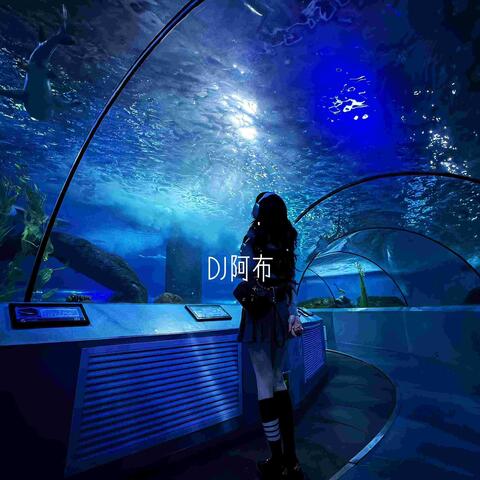 奥运夺金进行曲