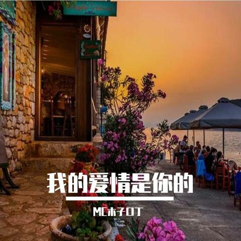 我的爱情是你的