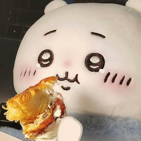 鲨鲨15