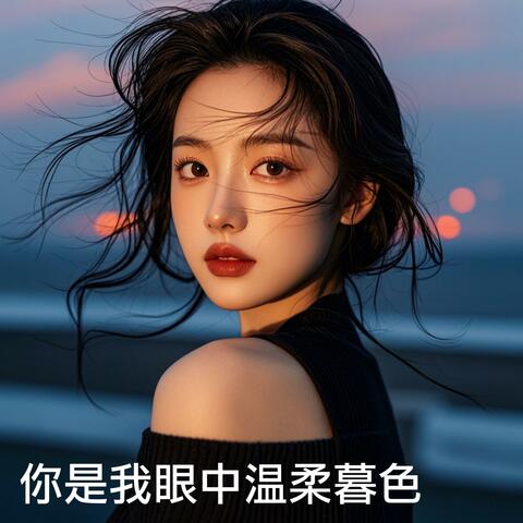 你是我眼中温柔暮色