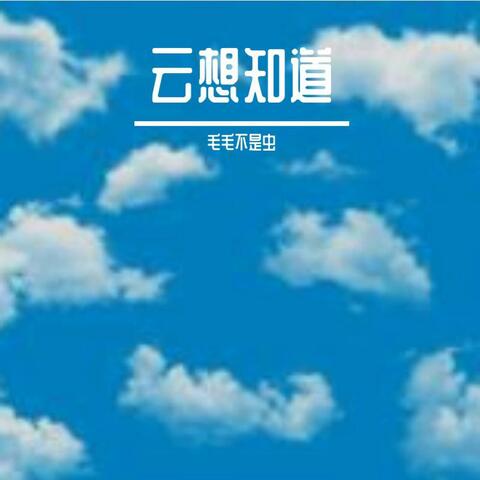 云想知道