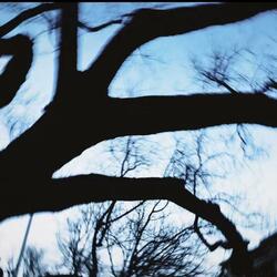 模糊的记忆（Vague Memory）