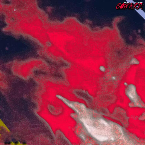 发疯别管