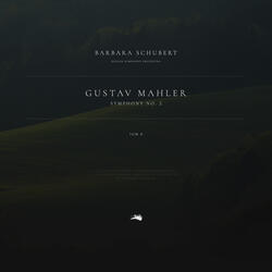 Symphony No. 2: 1. Allegro maestoso