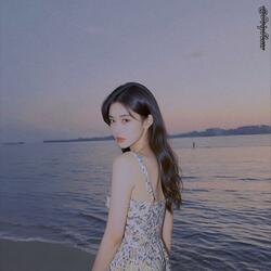 鸡毛浪漫