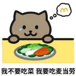晚安胖猫