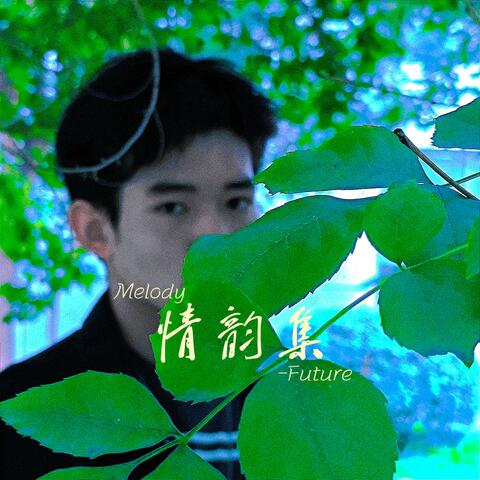 情韵集