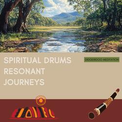 Resonant Journeys (Harmonic Didgeridoo)