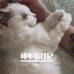 睡不着日记