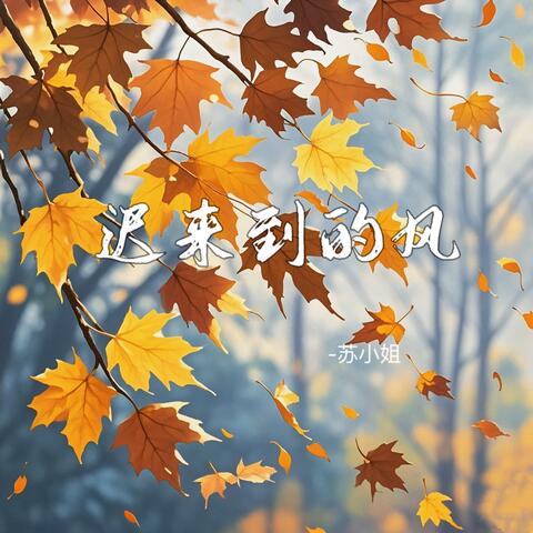 迟来到的风