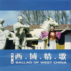花儿与少年