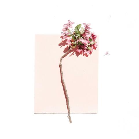 花店