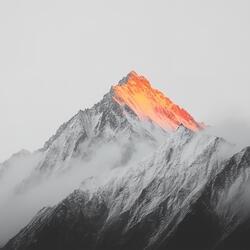 五月的风