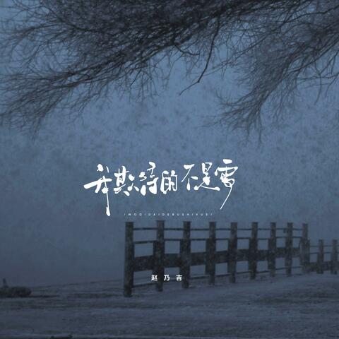 我期待的不是雪