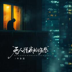 无人懂我的伤悲