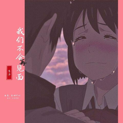 我们不会再见面