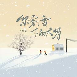 你家下大雪吗