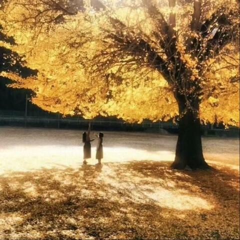 微妙距离