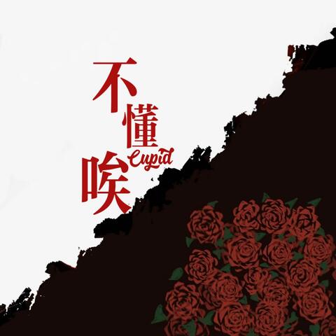 不懂唉