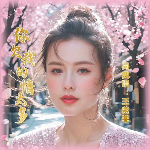 你欠我的情太多