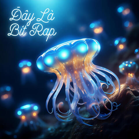 Đây Là Bít Rap