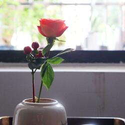 木可，生日快乐