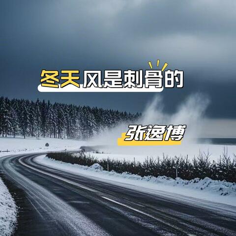 冬天的风是刺骨的