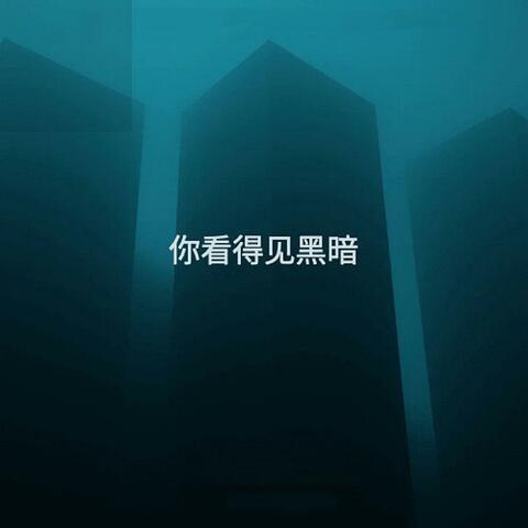 你看的见黑暗
