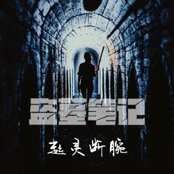 盗墓笔记·起灵断腕