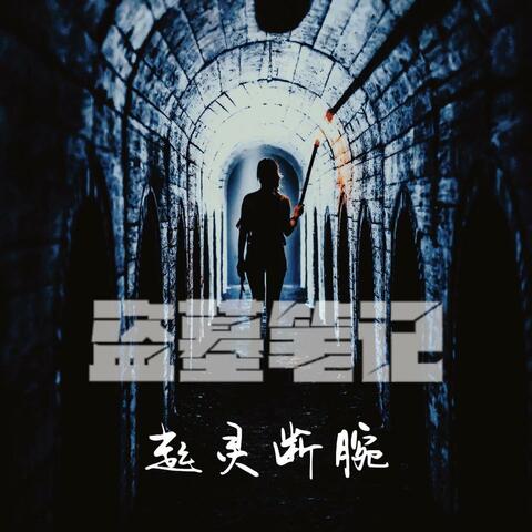 盗墓笔记·起灵断腕