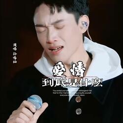 爱情到底是什么