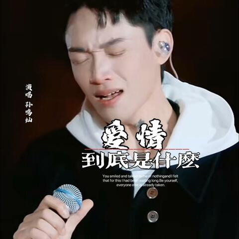 爱情到底是什么