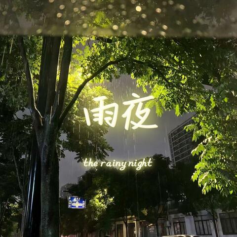 雨夜Rainy Night