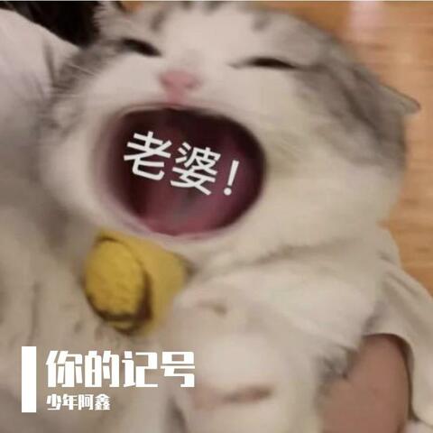 你的记号