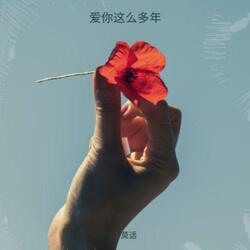 爱你这么多年