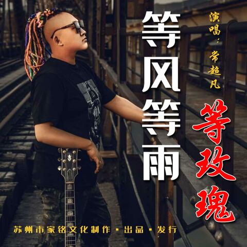 等风等雨等玫瑰