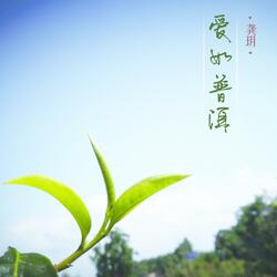爱如普洱