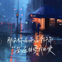 那天你在雨后街角 答应接受我的爱