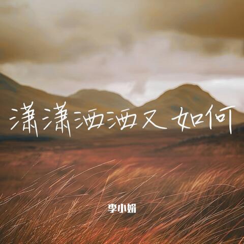 潇潇洒洒又如何