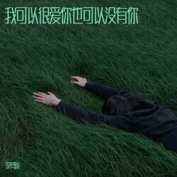 我可以很爱你也可以没有你